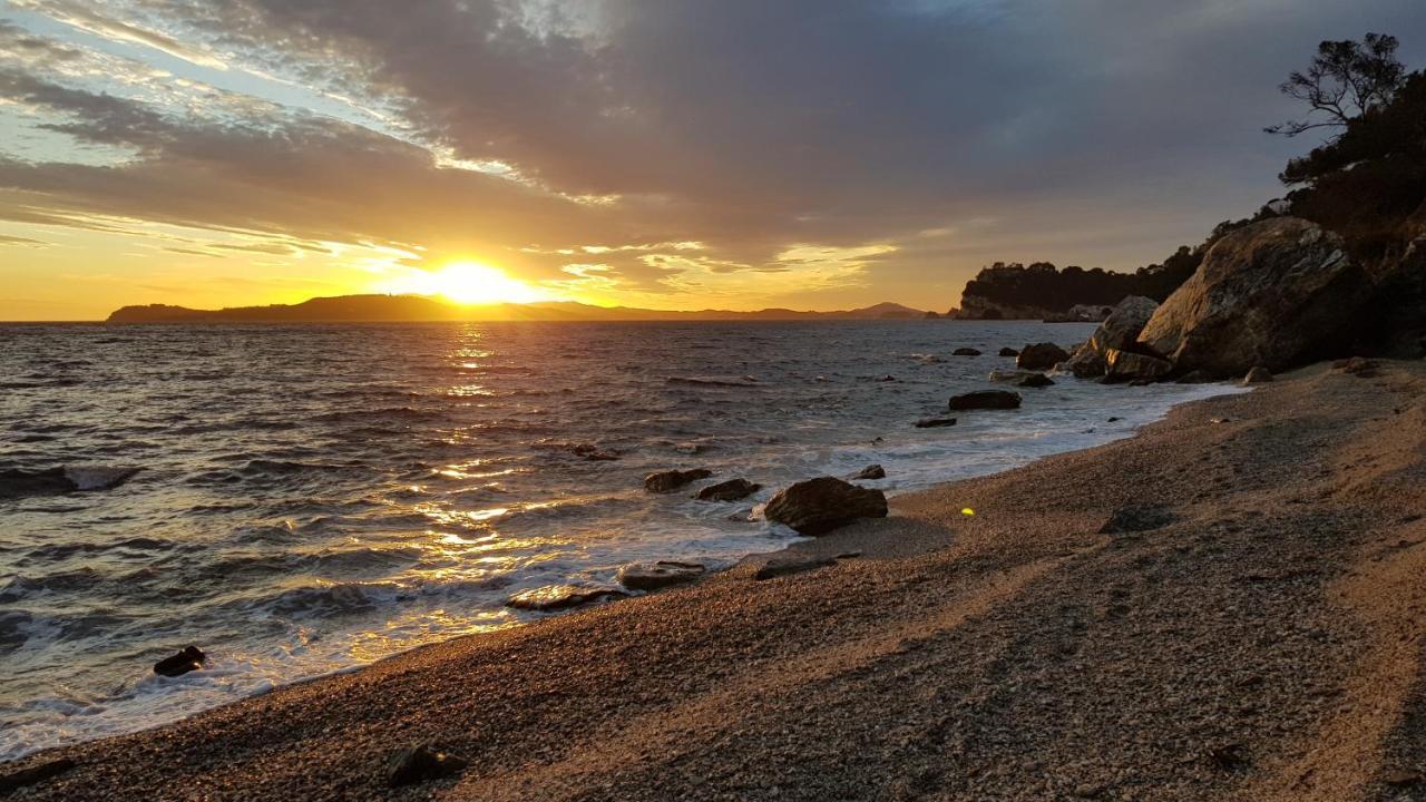 Apart Plage Lejlighed Carqueiranne Eksteriør billede
